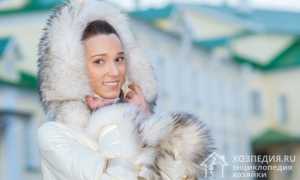 Как почистить мех в домашних условиях