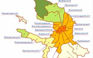 В каком районе Санкт-Петербурга лучше купить жилье?