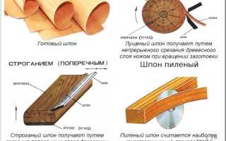 Основные различия шлифованной и нешлифованной фанеры