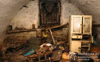 Как избавиться от лягушек в доме