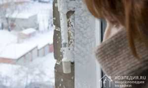 Как эффективно избавиться от клопов в квартире