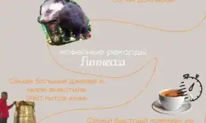 Кофейные рекорды – что достойно мирового внимания?