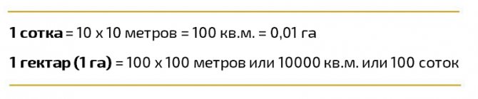 1 сотка это
