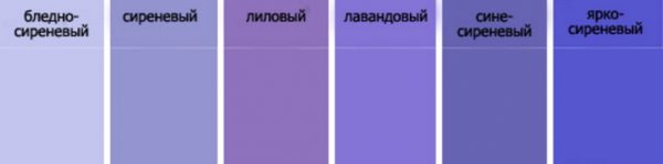 Названия разновидностей сиреневого