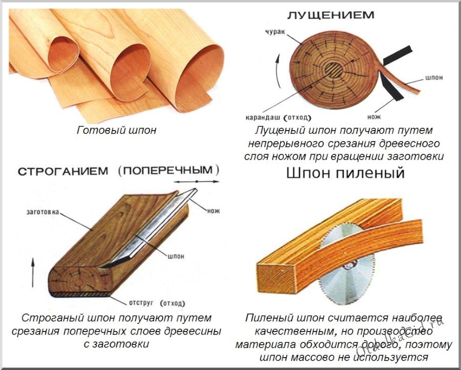 Виды фанерного шпона
