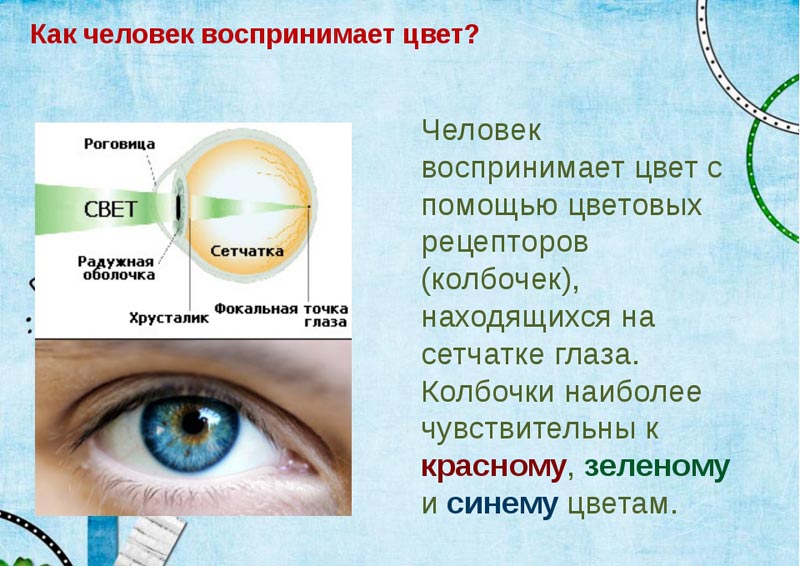 Восприятие цвета